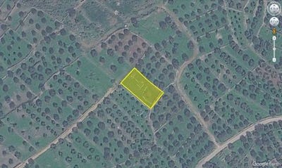 /international/gr/agios-nikolaos-thessaly-central-greece-310106067589/