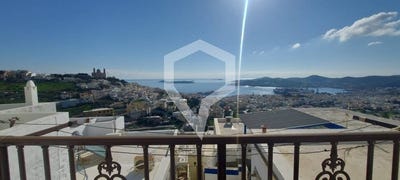 /international/gr/ano-syros-aegean-310119449547/