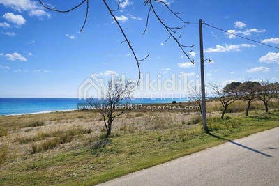 /international/gr/nea-triglia-macedonia-thrace-310108870756/
