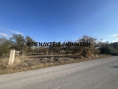 /international/gr/tagarades-macedonia-thrace-310100993526/?lang=zh-tw