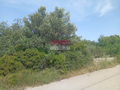 /international/gr/sternes-crete-310109174022/?lang=th