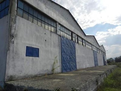 /international/gr/kria-vrisi-macedonia-thrace-310103788250/