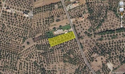 /international/gr/agios-nikolaos-thessaly-central-greece-310109288252/
