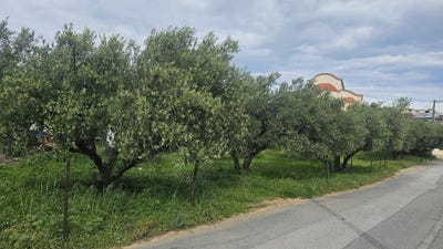 /international/gr/limenas-chersonisoy-crete-310109741807/