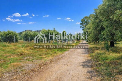 /international/gr/kassandra-macedonia-thrace-310108871144/