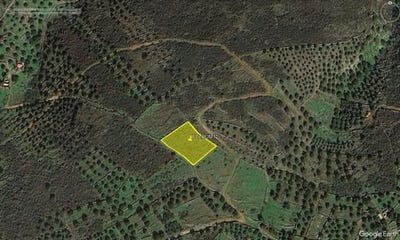 /international/gr/agios-nikolaos-thessaly-central-greece-310108103908/