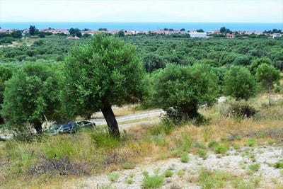 /international/gr/kassandra-macedonia-thrace-310103785015/