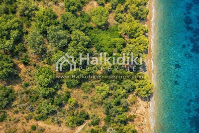 /international/gr/kassandra-macedonia-thrace-310108871243/