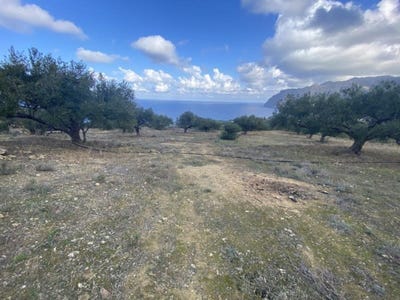 /international/gr/toyrloti-crete-120089253257/