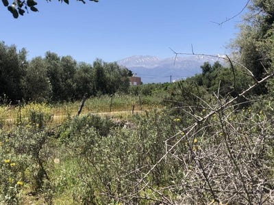 /international/gr/kambia-crete-310101061444/