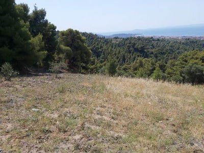 /international/gr/sithonia-macedonia-thrace-310105898542/