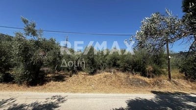 /international/gr/nies-peloponnese-western-greece-and-ionian-310101379649/?lang=it