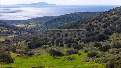 /international/gr/agkeria-aegean-310107581267/