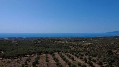 /international/gr/vryses-peloponnese-western-greece-and-ionian-310100059189/