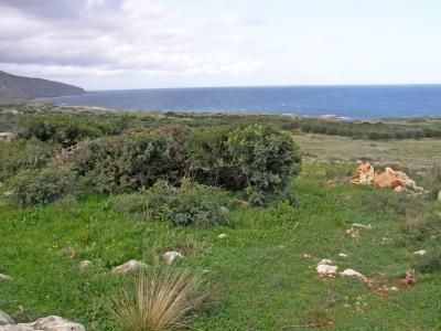 /international/gr/agios-nikolaos-thessaly-central-greece-120052836524/