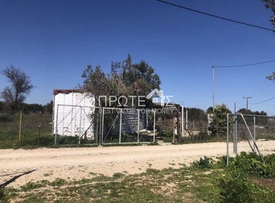 /international/gr/markopoulo-attica-310108317587/
