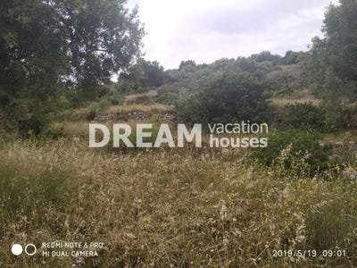 /international/gr/agios-dimitros-peloponnese-western-greece-and-ionian-310101036628/?lang=zh-cn