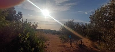 /international/gr/kiparissia-peloponnese-western-greece-and-ionian-310106576216/