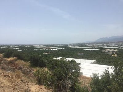 /international/gr/vainia-crete-120061707466/