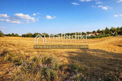 /international/gr/kassandra-macedonia-thrace-310108870782/