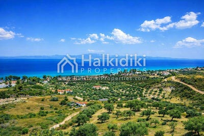 /international/gr/kassandra-macedonia-thrace-310108871226/