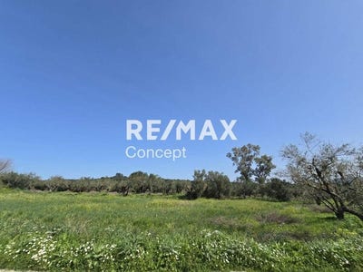 /international/gr/mouzaki-peloponnese-western-greece-and-ionian-310098742676/?lang=es