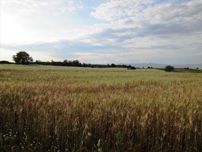 /international/gr/kassandra-macedonia-thrace-310103785476/
