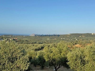 /international/gr/platania-crete-310101998326/