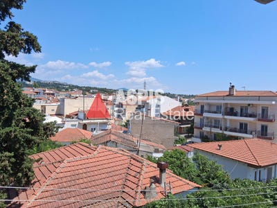 /international/gr/pilea-macedonia-thrace-310100412591/?lang=zh-tw