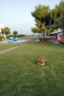 /international/gr/megara-attica-310103787582/