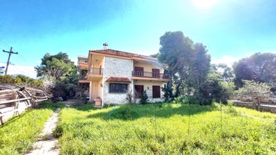 /international/gr/aidonos-8-kifisia-145-64-greece-kifisia-attica-310106405299/