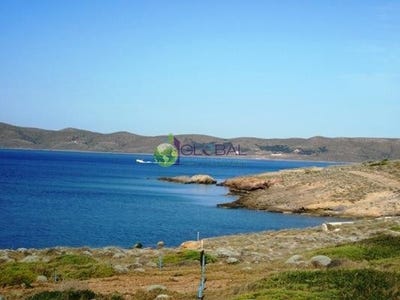/international/gr/lavrio-camp-attica-310104962319/