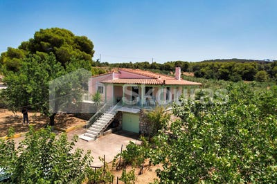 /international/gr/kranidi-peloponnese-western-greece-and-ionian-310100042462/