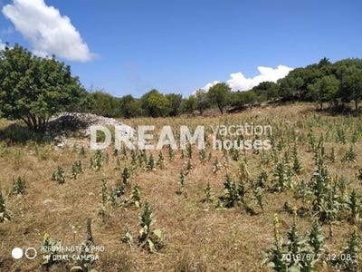 /international/gr/agios-nikolaos-peloponnese-western-greece-and-ionian-310101035737/?lang=fr