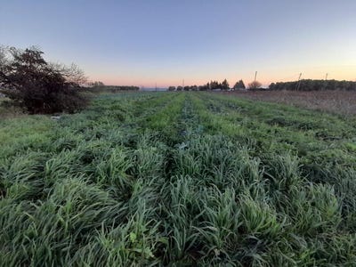 /international/gr/epanomi-macedonia-thrace-310100793157/