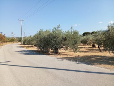/international/gr/istiea-thessaly-and-central-greece-310108430332/