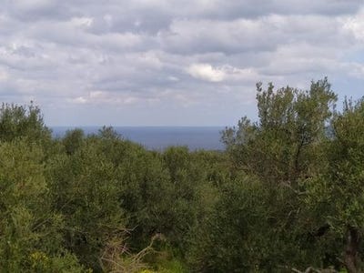 /international/gr/agios-nikolaos-thessaly-central-greece-120052840446/