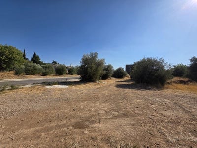 /international/gr/kifissia-attica-region-310106822982/