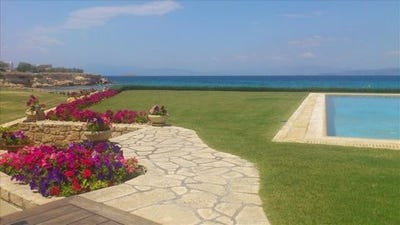 /international/gr/aegina-attica-310103787554/