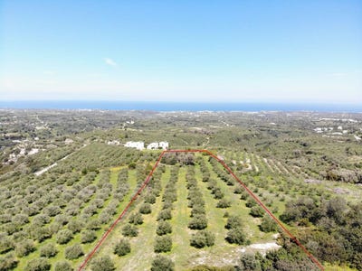/international/gr/roupes-crete-310104250029/