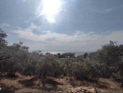 /international/gr/milies-thessaly-central-greece-120089090762/