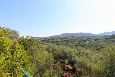 /international/gr/vrachasi-crete-310103788890/