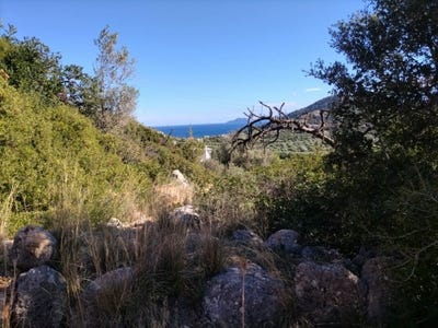 /international/gr/vathi-crete-310119972457/