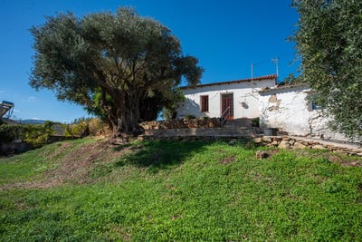 /international/gr/tavronitis-crete-310107025176/