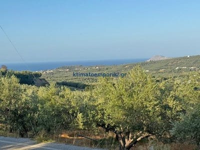 /international/gr/platania-crete-310101996580/