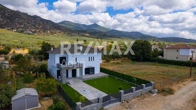 /international/gr/agria-crete-310102438825/