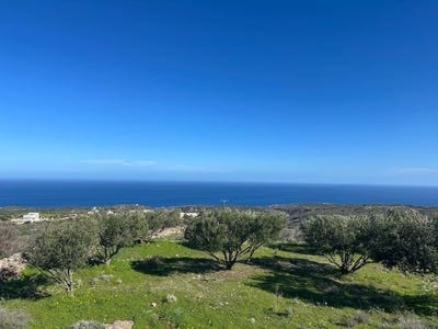 /international/gr/epano-loumas-crete-310107624531/