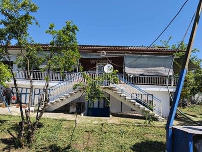 /international/gr/agia-zoni-aegean-310108789359/