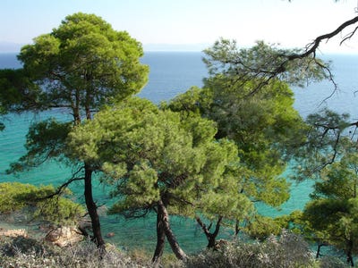 /international/gr/kriopigi-macedonia-thrace-310107906208/