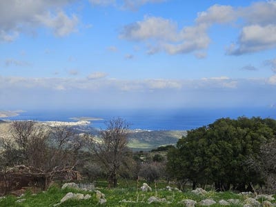 /international/gr/kroustas-crete-310105265904/